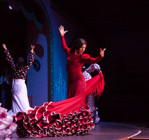 que-tienes-que-saber-sobre-el-flamenco-1024x653